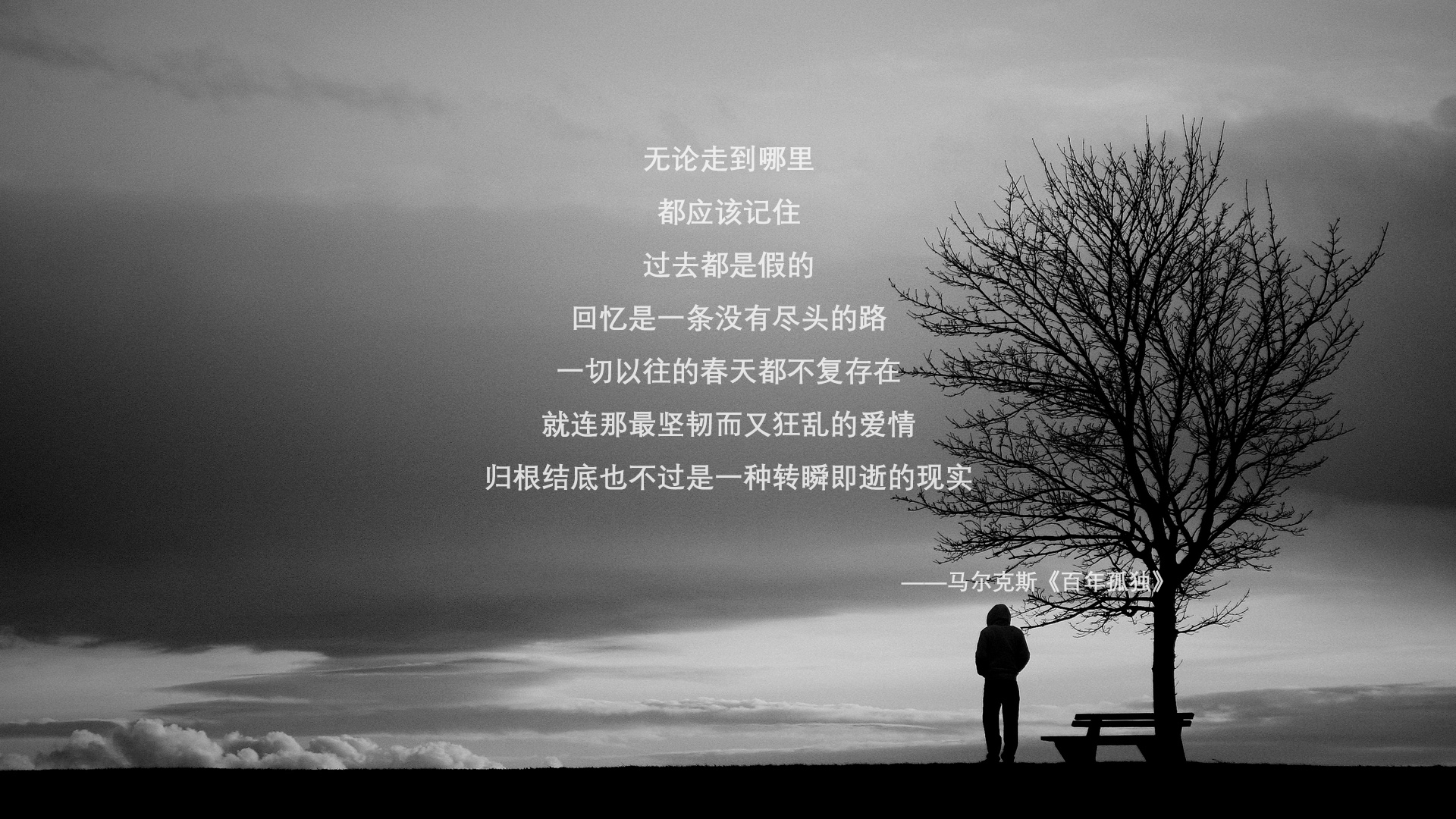 开云官网APP下载-传奇队伍的“黄金时代”：那些不可复制的阵容组合，传奇各组合分析