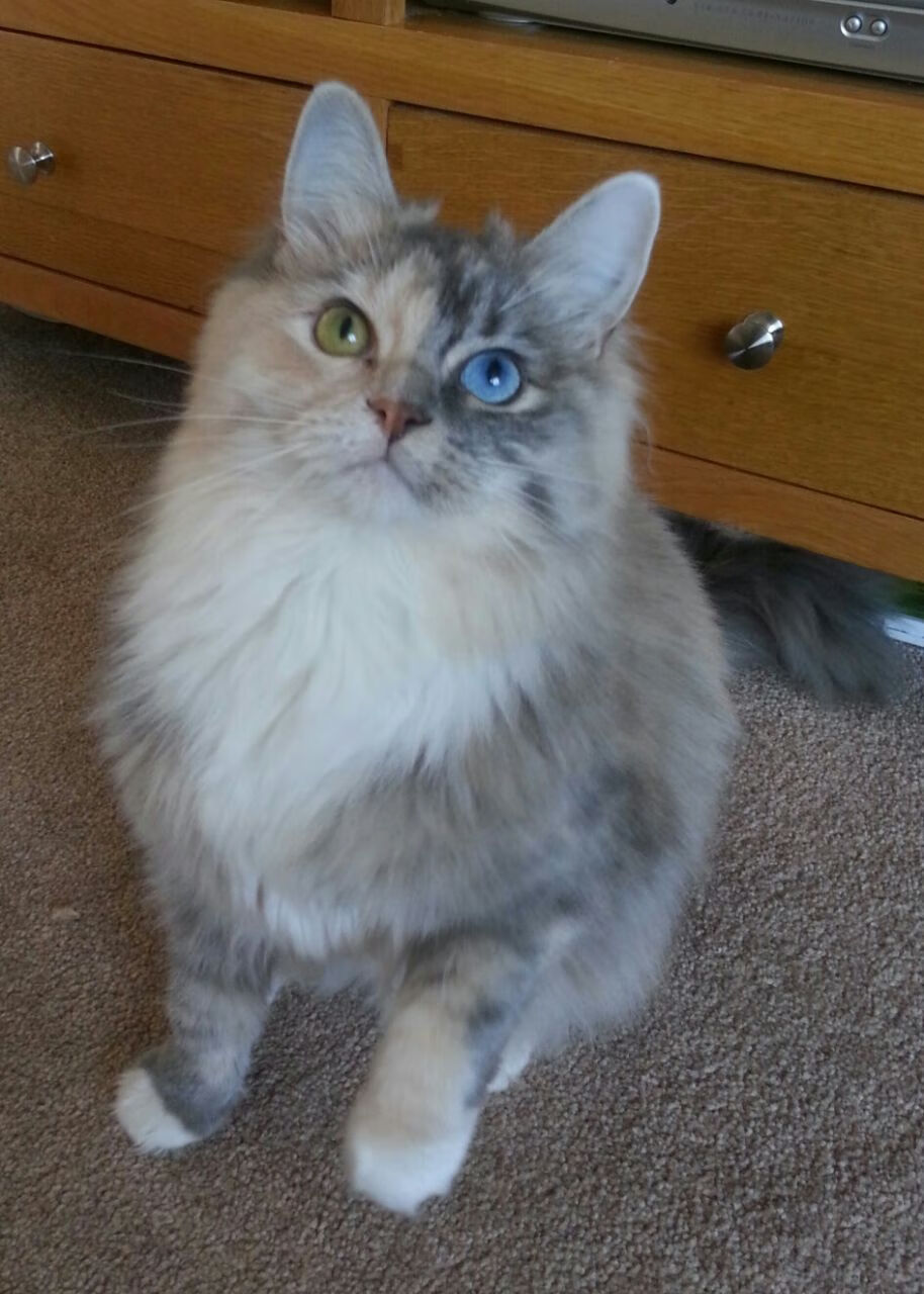 kaiyun登录入口-全明星训练营开启，明星球员提前热身，全明星球员名单