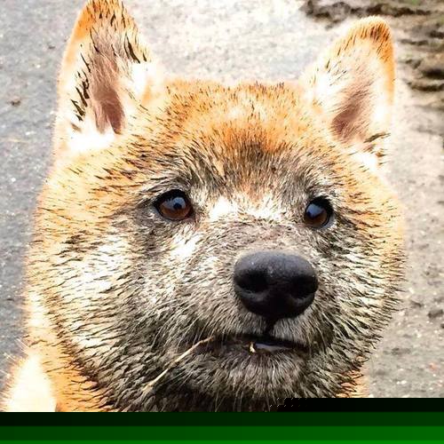 kaiyun-全息投影技术在电竞领域的应用：视觉冲击与沉浸式观赛，全息投影游戏设备