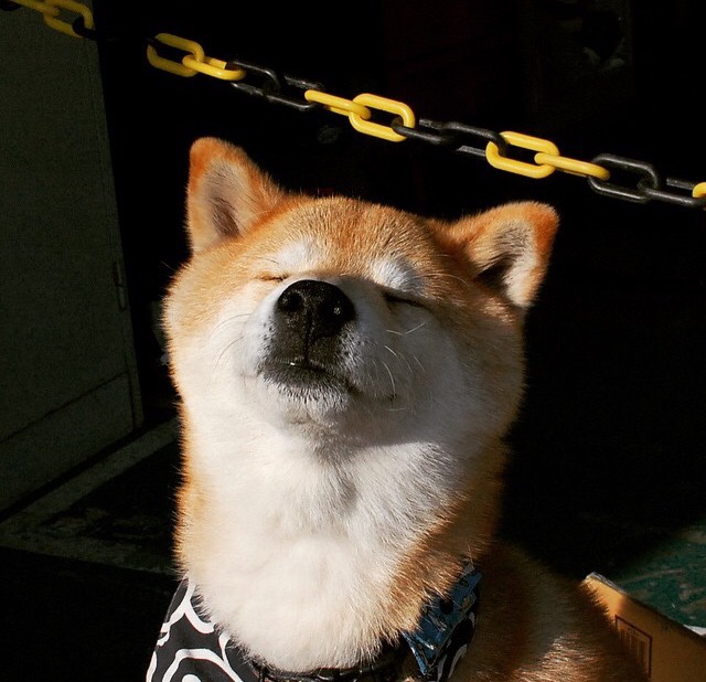 kaiyun体育app-刚结束的意甲焦点战：那不勒斯3-0完胜拉齐奥，奥斯梅恩状态火热，意甲 那不勒斯