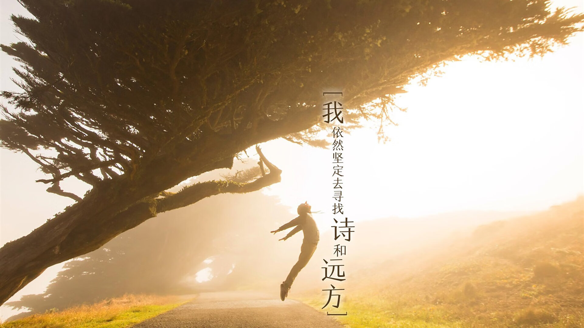 开云kaiyun-新星崛起：豪门车队争夺未来冠军的希望，新星崛起的成语