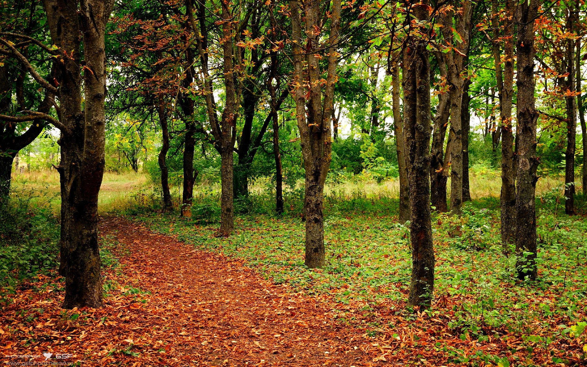 Kaiyun APP-未来之路：电动化与自动驾驶在WRC的应用前景，自动驾驶电动汽车测试与评价技术