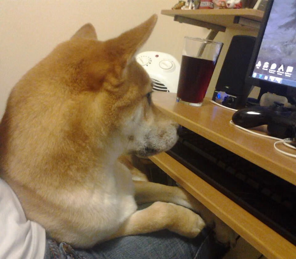 热火击败独行侠，系列赛焦点战中巴特勒末节爆发，热火续约巴特勒