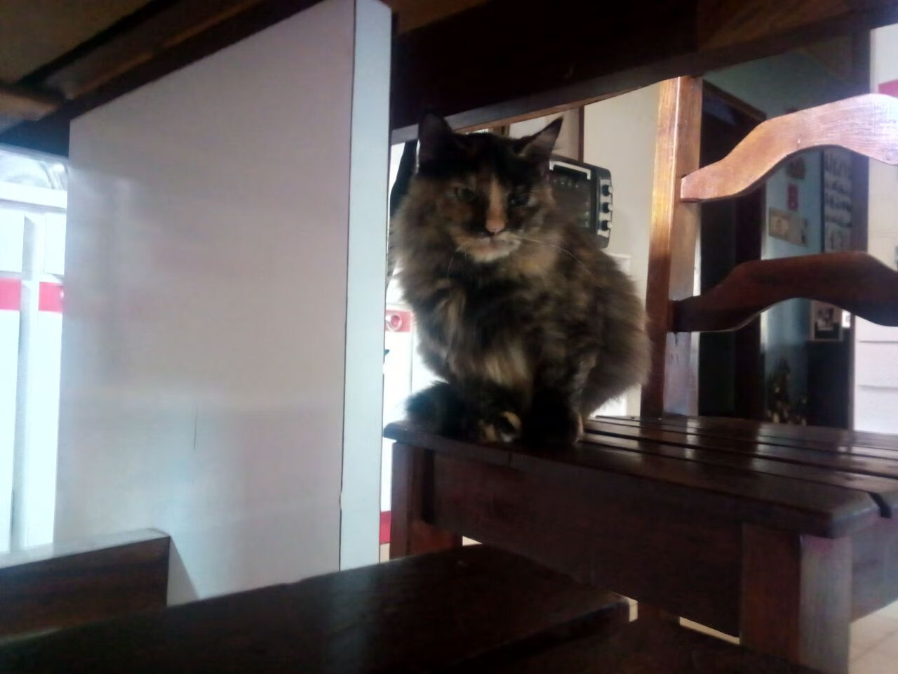 Kaiyun(中国)开云-电竞赛事中裁判判罚标准与争议解决机制，电竞裁判比赛中遇到bug怎么处理