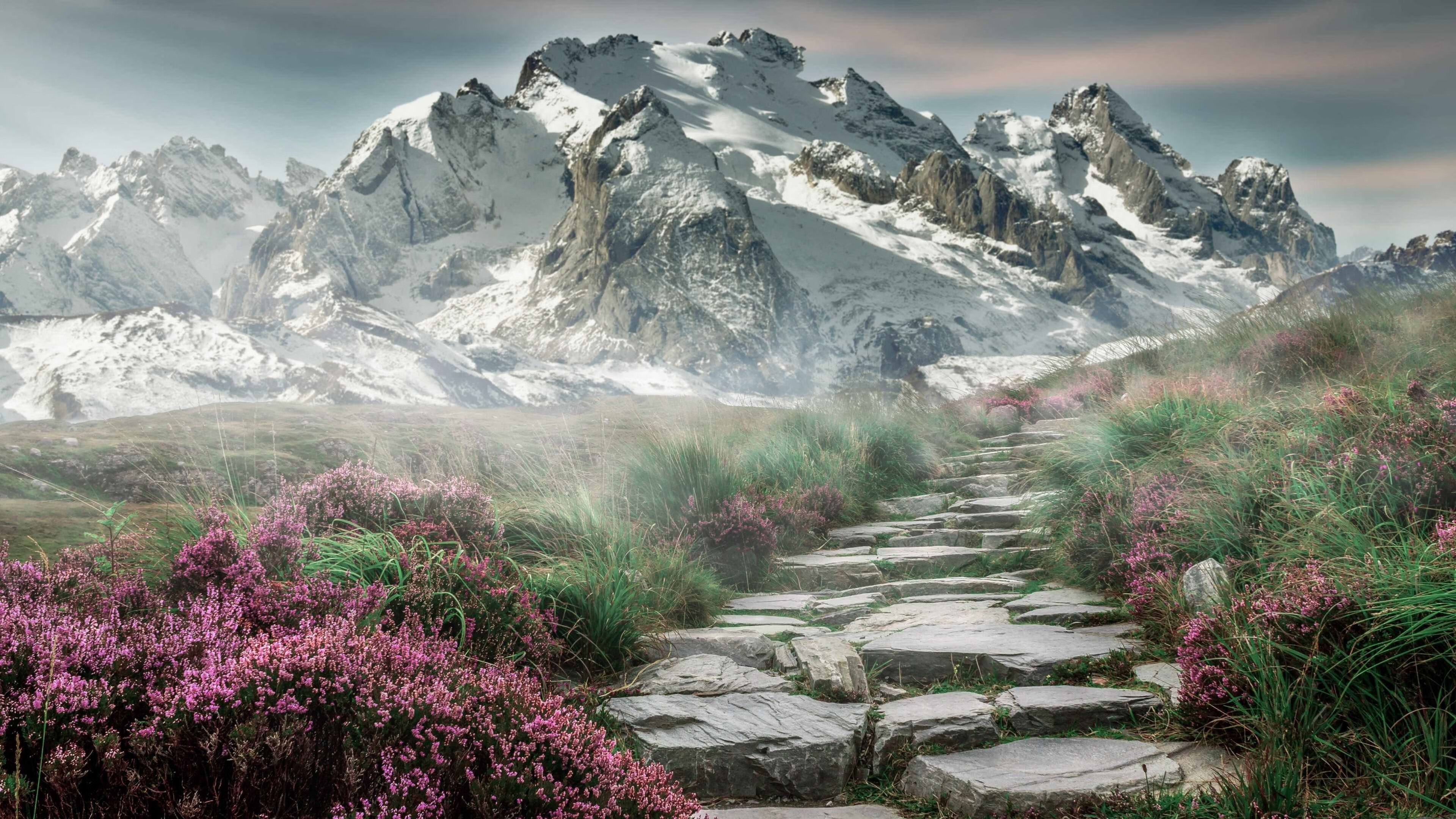 开云网站-缅因凯尔特人球员入选全明星，凯米尔色缅因猫能买吗