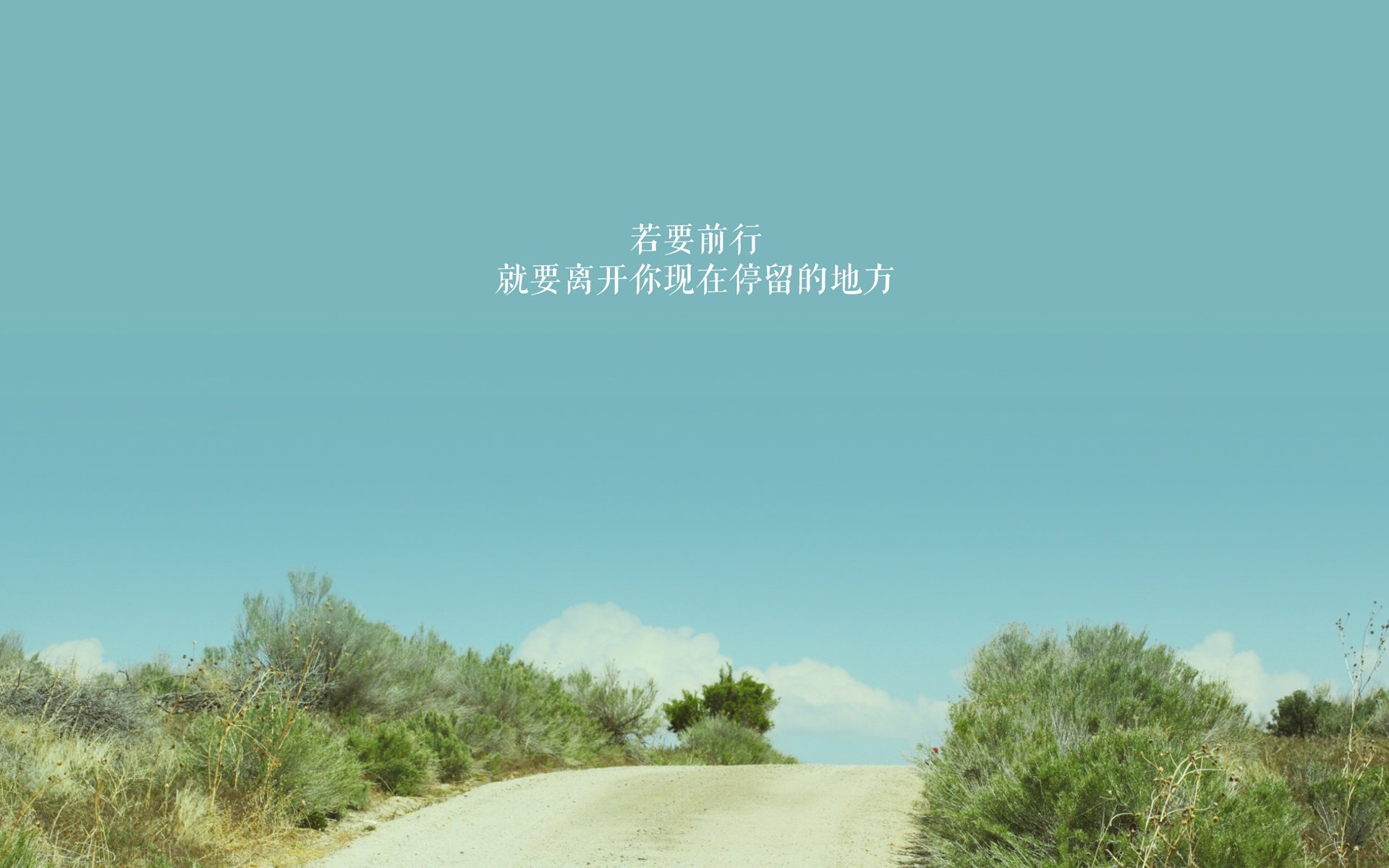 Kaiyun官方登录入口-维达德卡萨布兰卡球员伤愈复出，助力球队冲击冠军，卡萨布兰卡 知乎