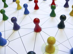 开云官网-中国篮球青训教练员能力提升路径，篮球青训师的待遇怎么样