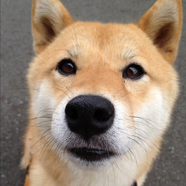 开云·体育全站登录地址-基层联赛标准制定与执行不力，基层比赛