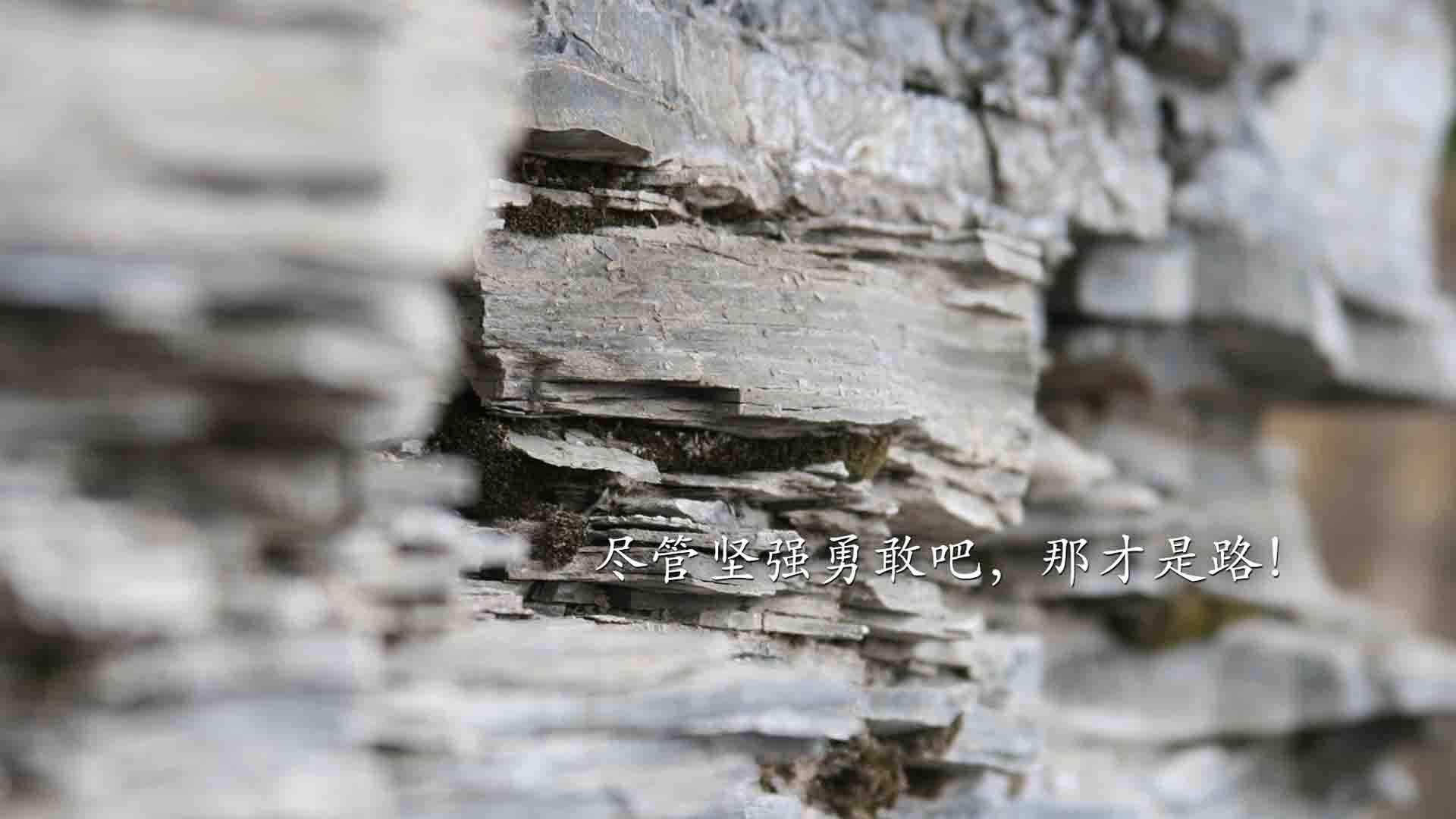 开云官网首页-沃尔夫斯堡围绕中场核心构建战术体系，沃尔夫斯堡队