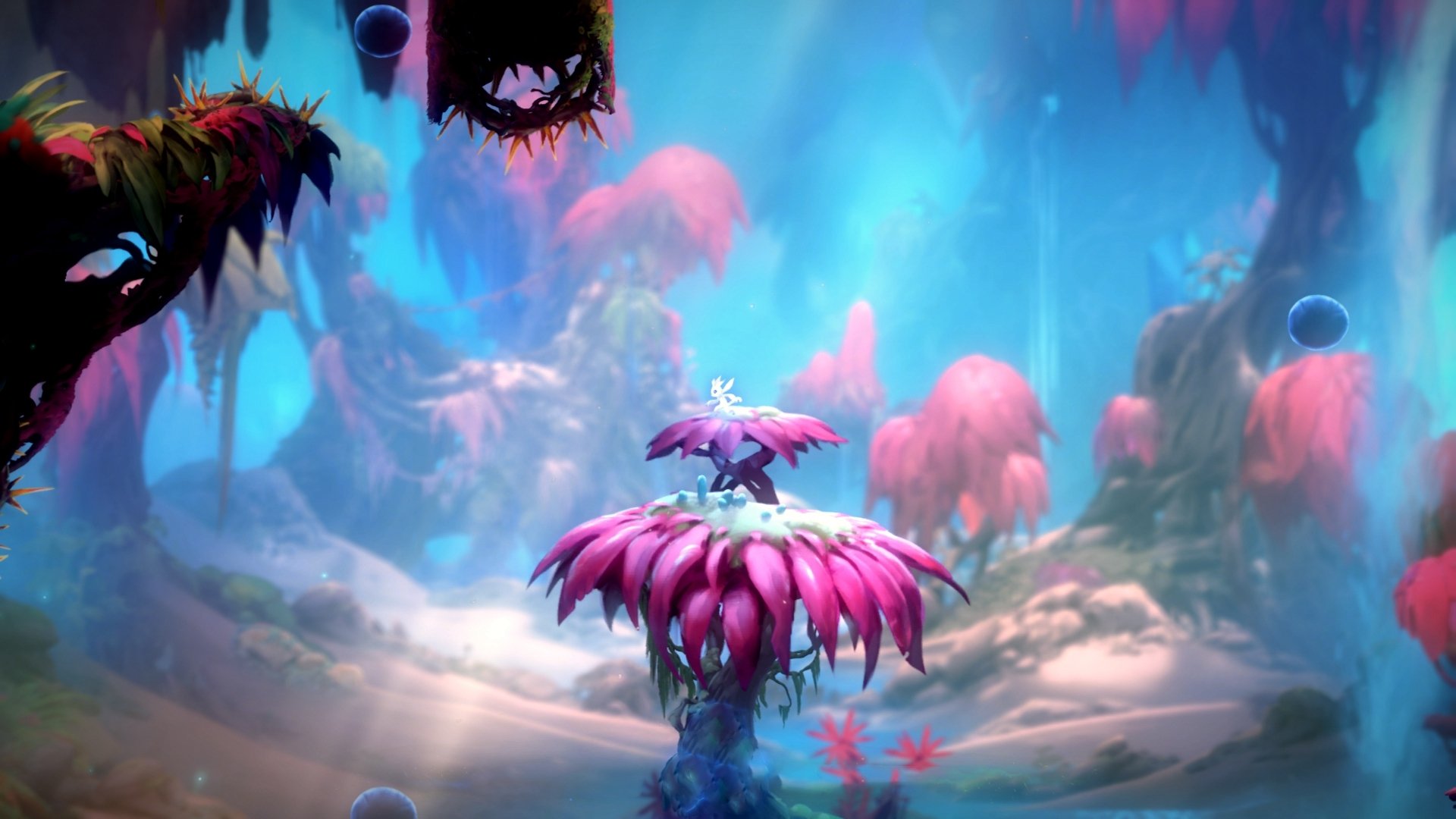 开云在线直播-蛙泳项目德国已成奖牌常客，蛙泳排名