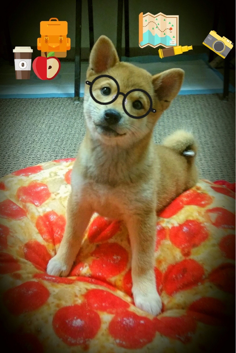 kaiyun体育综合-“尼古拉斯·桑特基的精准罚球与掌控比赛节奏，成就阿根廷美洲狮队新辉煌”