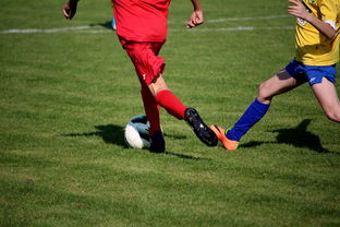 开云入口-中国足球俱乐部与国际知名足球学院合作，中国足球俱乐部和国家队