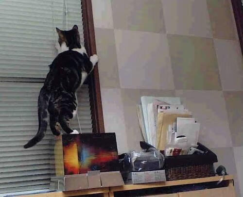 开云入口-未来足球生态：虚拟现实+增强现实打造沉浸式比赛体验，虚拟足球动画片