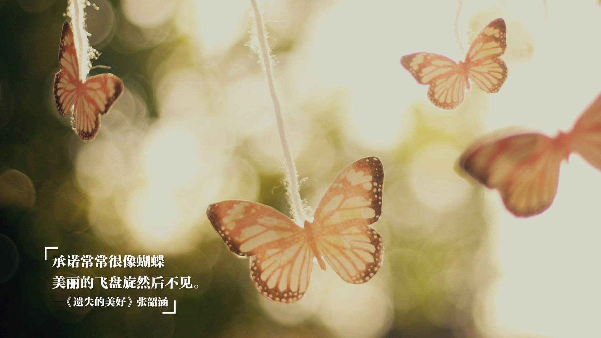 开云在线直播-绿色智能足球场建设数量快速增长，推动绿色体育发展，足球场绿化