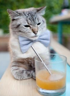 KAIYUN 中国大陆-马刺战术体系逐步建立新秀快速适应，马刺的战术体系